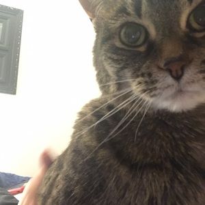 Meet your Posher, Jenny